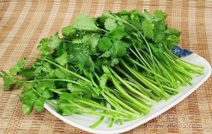 經(jīng)常吃香菜對身體好嗎?不宜吃香菜的人群