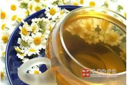 桑葉菊花茶圖片