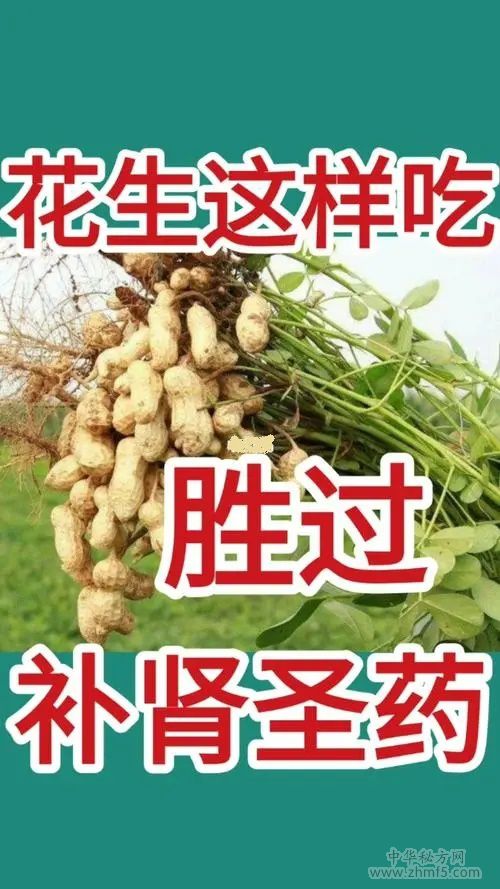 吃花生可以補(bǔ)腎嗎？怎么吃效果更好？