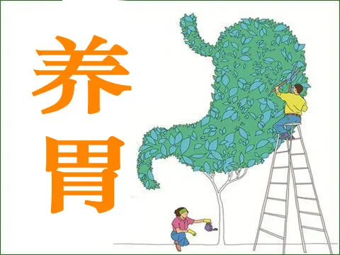 喝粥可以養(yǎng)胃嗎？ 常見養(yǎng)胃的六個誤區(qū)