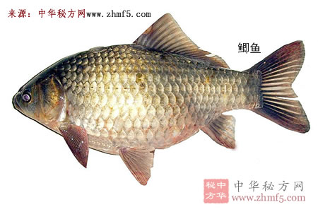 鯽魚，四類人要少吃