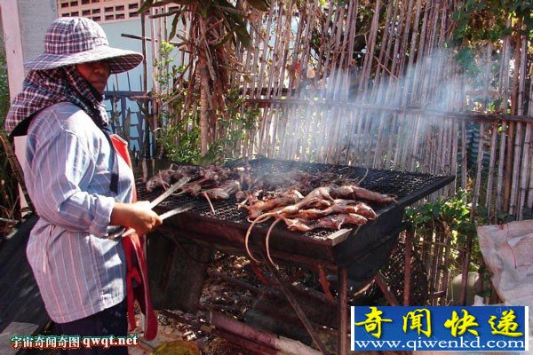 重口味！秘魯飼養(yǎng)老鼠來烤肉吃