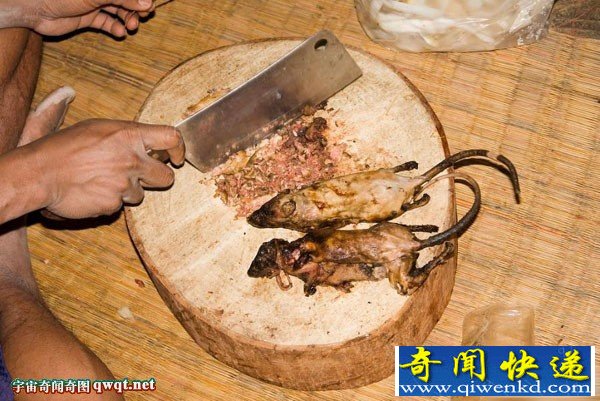 重口味！秘魯飼養(yǎng)老鼠來烤肉吃