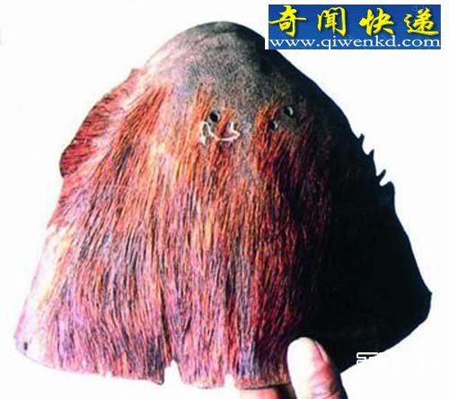 真實的恐怖怪獸 肯偉島怪物 蜥蜴人怪獸