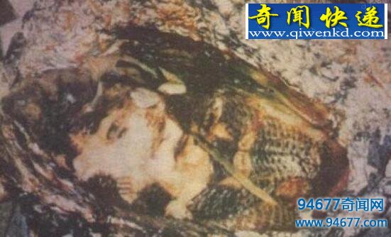 揭秘臺灣人面魚真實面目，人面魚竟如此恐怖