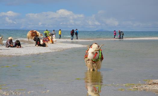 去西藏旅游 高原反應(yīng)頭疼的應(yīng)對(duì)方法