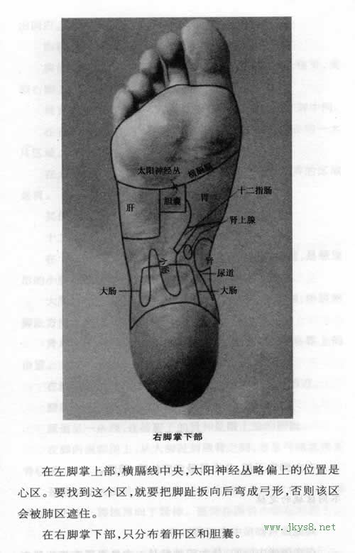 右腳掌下部