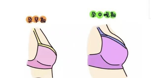 為什么女人的乳頭會(huì)變黑？