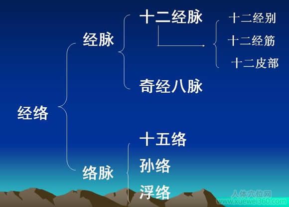 經(jīng)絡(luò)系統(tǒng)的主要內(nèi)容