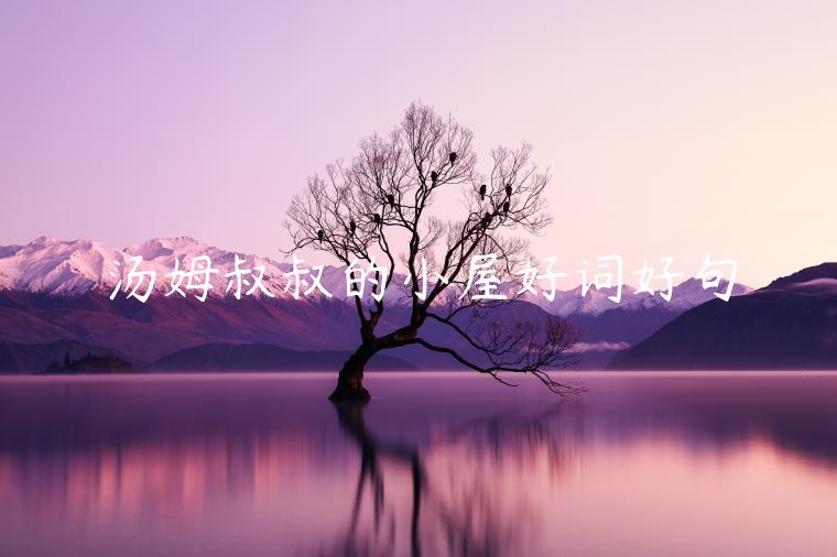 湯姆叔叔的小屋好詞好句