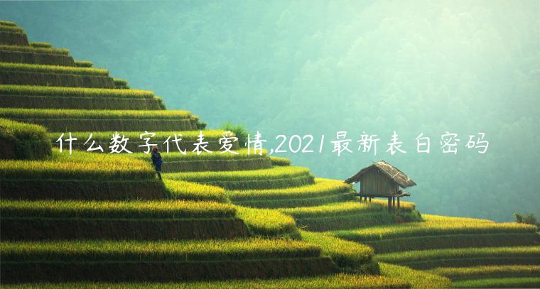 什么數字代表愛情,2021最新表白密碼