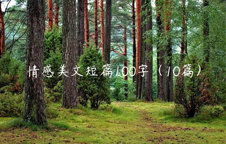 情感美文短篇100字（10篇）