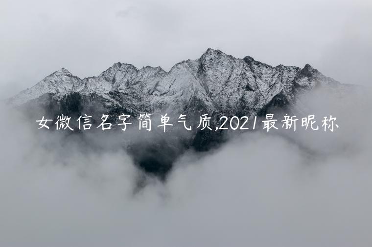 女微信名字簡單氣質(zhì),2021最新昵稱