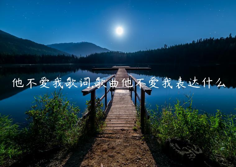 他不愛我歌詞,歌曲他不愛我表達什么