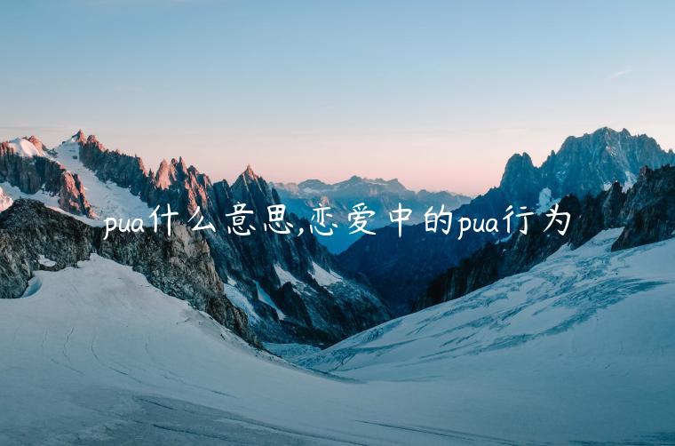 pua什么意思,戀愛中的pua行為