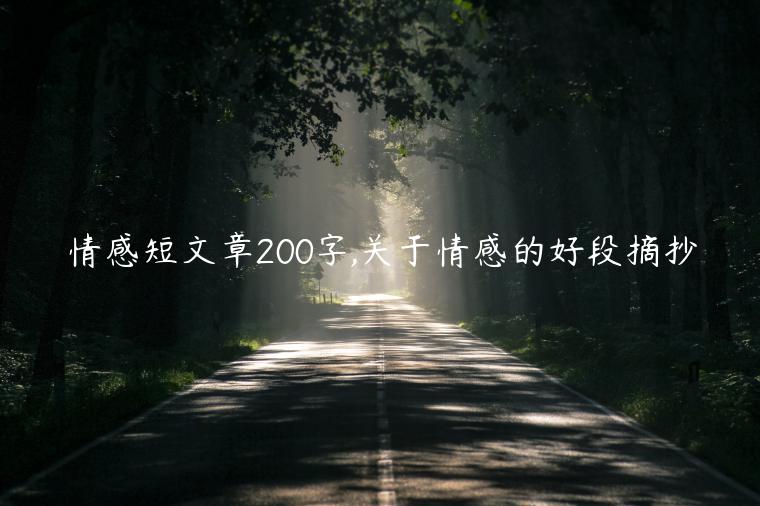 情感短文章200字,關(guān)于情感的好段摘抄