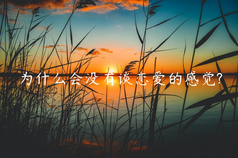 為什么會(huì)沒有談戀愛的感覺?