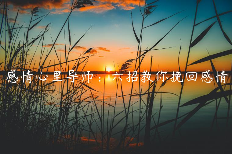 感情心里導(dǎo)師：六招教你挽回感情