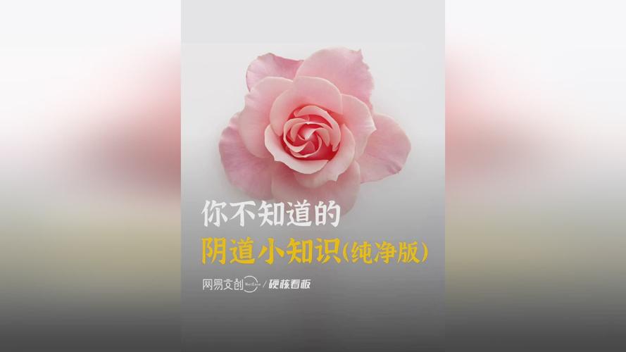 女性的私處包括什么？女性私處的構(gòu)成部分是什么？