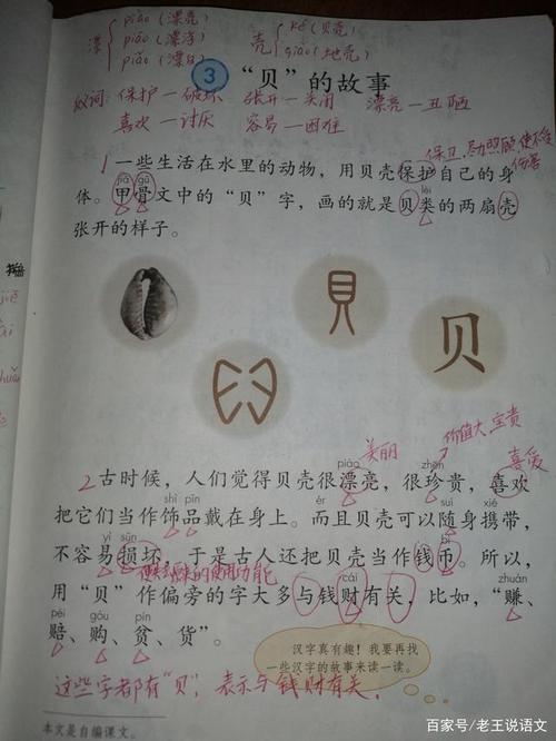 貝字旁的字有什么,貝字旁的字有什么意義