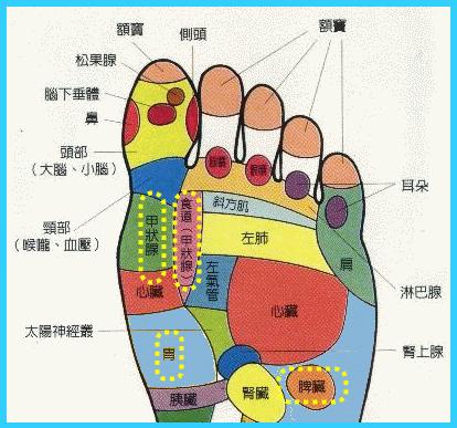 按摩腳底穴位反射區(qū)療效好不好？