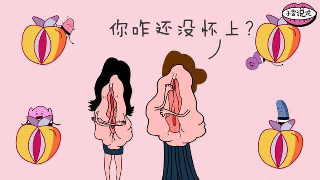 女性私處有哪些種類？女性私處一般有六種類型