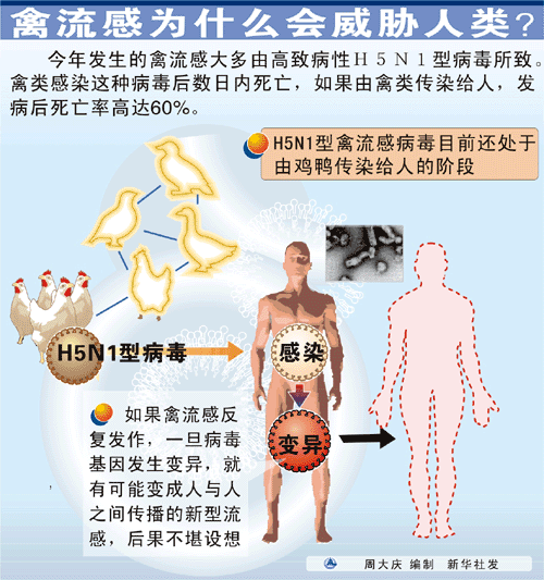 禽流感有什么癥狀-流感有些什么癥狀