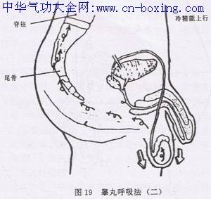 如何做到交而不泄 如何訓(xùn)練而不泄而不泄