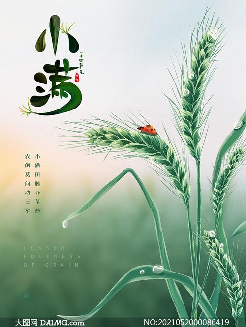 小滿節(jié)氣養(yǎng)生(小滿節(jié)氣養(yǎng)生重點(diǎn))