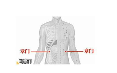 章門的準確位置圖和作用(章門的準確位置圖和作用及功效)
