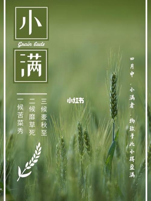 小滿節(jié)氣養(yǎng)生(小滿節(jié)氣養(yǎng)生重點(diǎn))