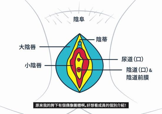 女性私密處的專業(yè)知識是多少？詳細(xì)介紹了女性隱私的基本知識