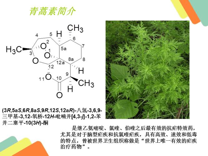 青蒿素的作用是_青蒿素的作用是什么瘧疾患病嗎