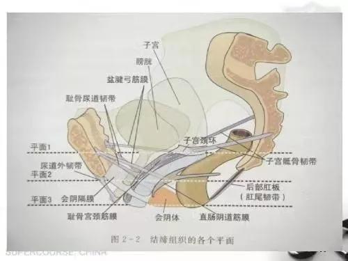 射在里面是什么意思？陰道的內(nèi)部是什么？