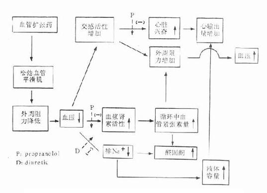 的作用_的作用機制和藥理作用