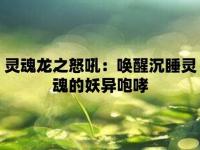 大苗王：神奇的健康守護者