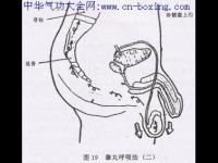 如何做到交而不泄 如何訓練而不泄而不泄