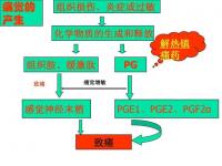 的作用_的作用機制和藥理作用