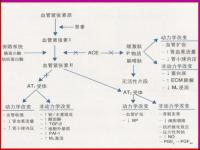 acei最常見副作用_acei最常見的副作用