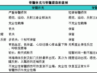 脊髓損傷有什么副作用-脊髓損傷有什么副作用和危害