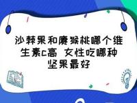 沙棘果和獼猴桃哪個(gè)維生素c高(沙棘果油和維生素吃哪個(gè)好)