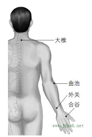 大椎、曲池、合谷、外關(guān)