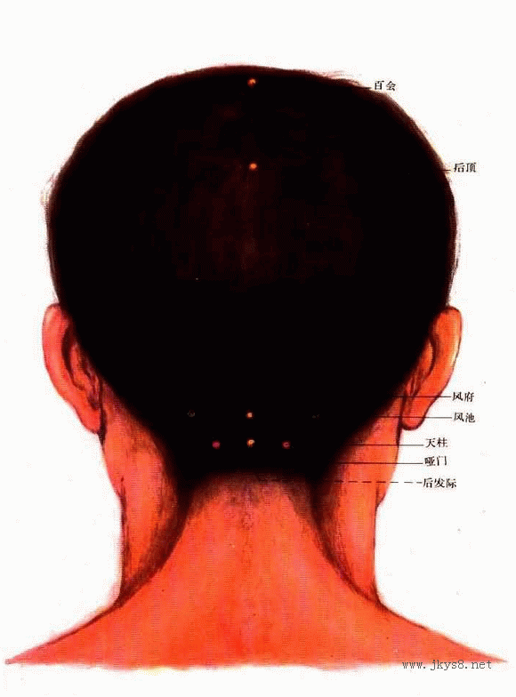 頭部后面穴位圖
