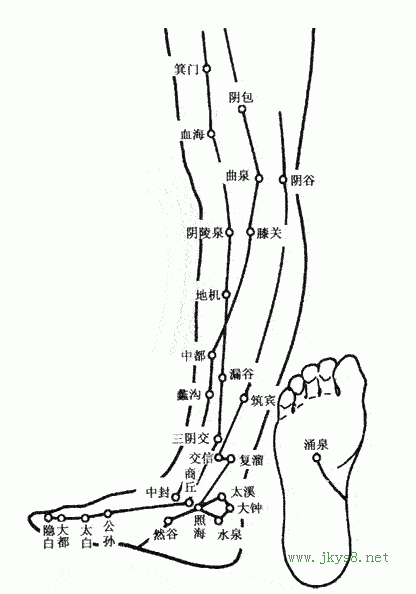 下肢內側穴位
