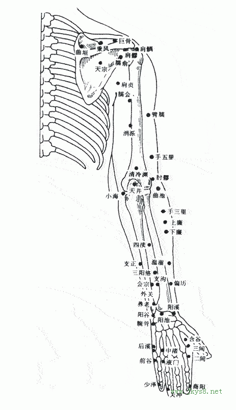 上肢外側(cè)穴位圖