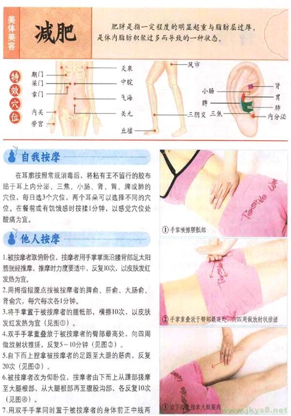 減肥按摩穴位 減肥按摩什么穴位 減肥穴位圖