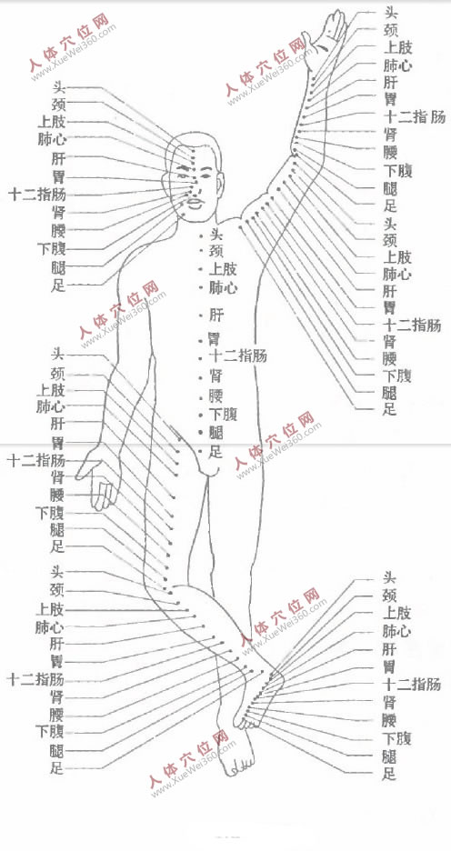 102個全息穴位系統(tǒng)