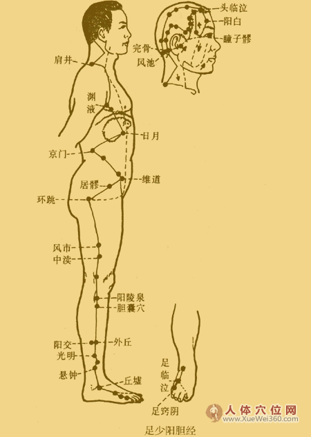 配穴原則與施治順序