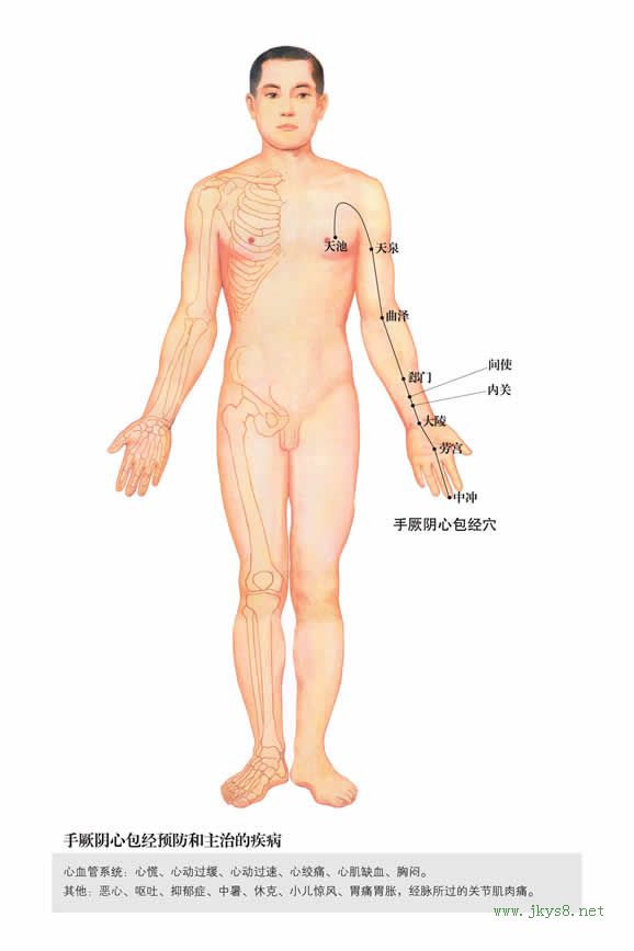 心包經(jīng)穴位圖