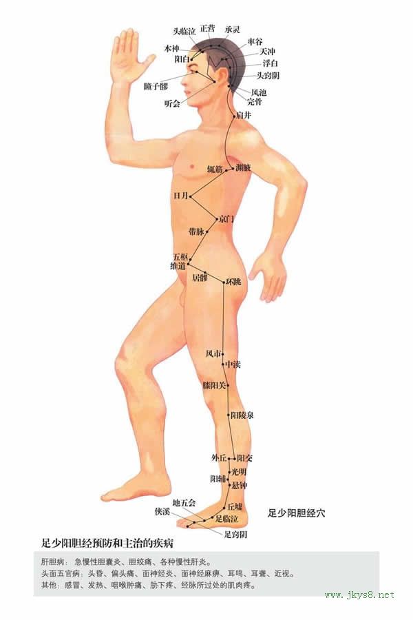 帶脈穴：膽經(jīng)(圖文)